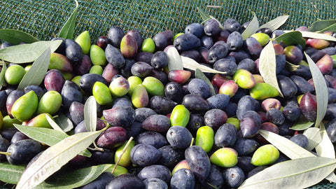 Do I Need To Wash My Olives