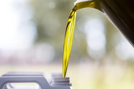 Extra Virgin Olive Oil. Have you really got it?