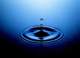 Day 10 Update: Havelock North town water supply campylobacter infection